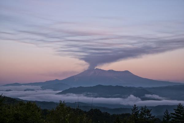 埋め込み画像への固定リンク