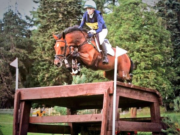 Had fab final event on pops today at <a href="/HorseAske/">Aske Horse Trials</a> in OI who did a lovely dc! What a season she's had 💜 #favgirlie