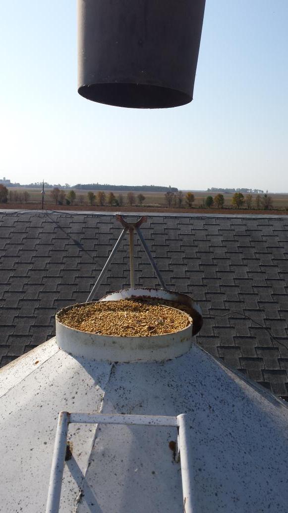 McCFarms's tweet photo. @westernproducer @RT54011 @DHGillis @haybomb99 is this skill or luck? #binbusting #soybeans14 are in the bin. http://t.co/BJUF25Wy1E