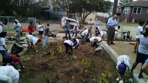 Haley Falconer tweet media