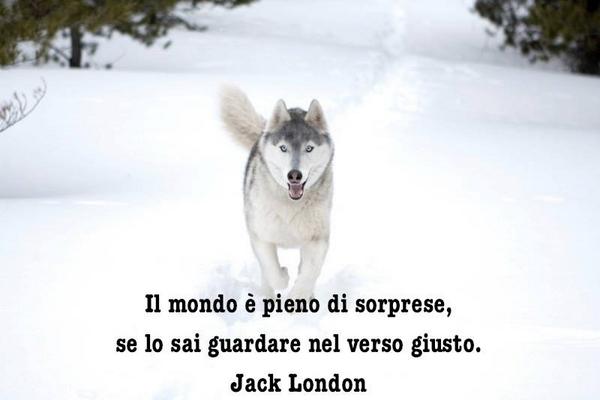 BackPackingTwit's tweet image. 