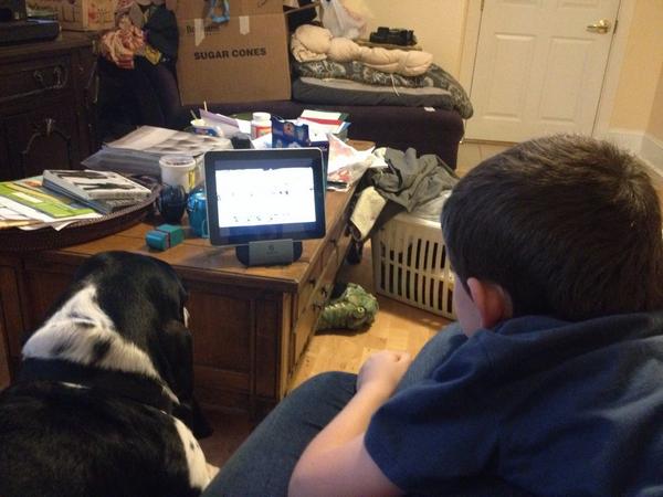 Muawhaha's tweet image. #talk2wftda #dogsofwftda