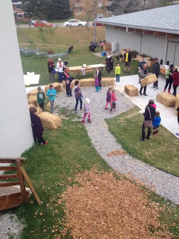 honey_sausage's tweet photo. Musical hay bales @TriwoodC http://t.co/fN4AUZyQcH