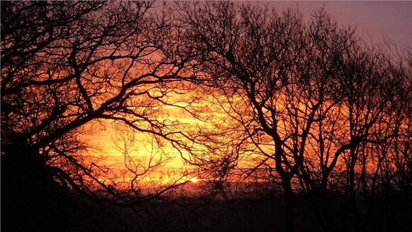 RTWBart's tweet photo. New artwork 'Beautiful Dawn' http://t.co/myguE24iHl … #art #photography #dawn #sunrise #Devon http://t.co/9VBGwhhY5A http://t.co/UzycJPz8Y4
