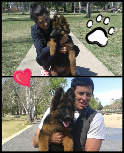 lulu017J's tweet photo. Roger esta creciendo! ! @johnmosoni http://t.co/bMbOA1ZrYd