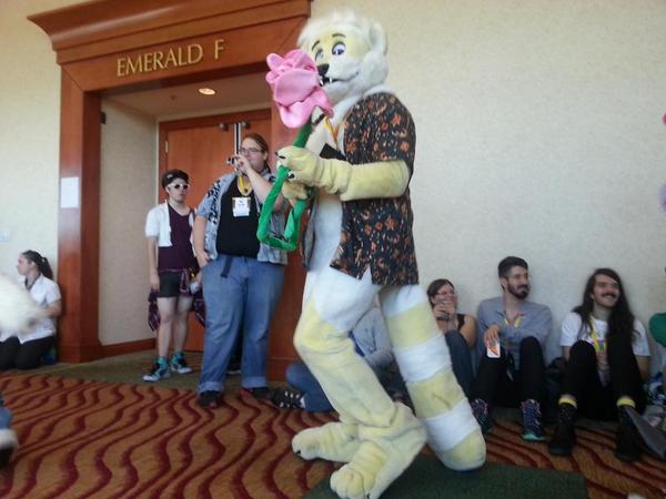 Fuzzypaw's tweet photo. There's something about coons and ferrets that really lends itself to making a super cute fursuit! #itsthemask http://t.co/N6O95upRDK
