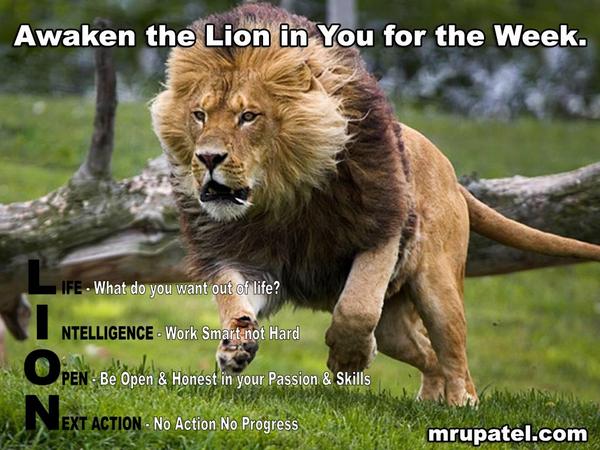 Gym Motivation tweet media