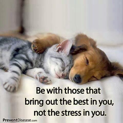 eree3786's tweet photo. http://t.co/gdwKQ6khAk