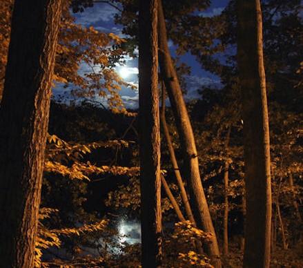 EL OTOÑO SE ACERCA CON MUY POCO RUIDO...* - Página 7 Byl-3ocCUAAVE9A