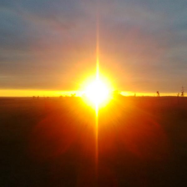 What a September sunset @ PHN. No wonder why our trees amazing.