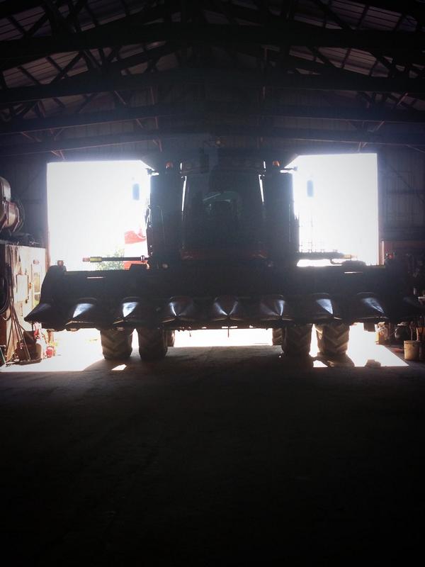 DillonSprunk's tweet image. Ready to start picking corn on Monday! #Harvest14