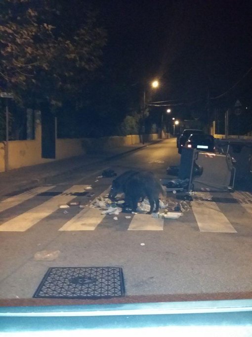 Salir de trabajar en #barcelona y encontrarte esto jajajaj n tiene precio.. q susto @GigiLoveX http://t<a href="/tag/barcelona"class="tags">#barcelona</a>