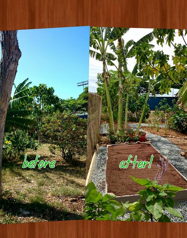 Great job! RT <a href="/HHFplanners/">HHF Planners</a>: Green Apple Day 2014 at Wilson Elem.! #WhereWeLearnMatters @mygreenschools <a href="/usgbc_HI/">USGBC Hawaii</a>