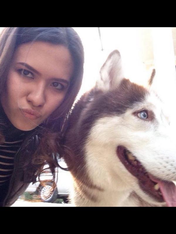 Biesss18's tweet photo. Mijo 🐶😄@michellejoan_ @LioraASPGGS @MichellelovaB @Lioraaa_ASPGGS @MichellejAIRP @LioraaASPGGS @MichelleLovaDPK http://t.co/c0ejjIQr19