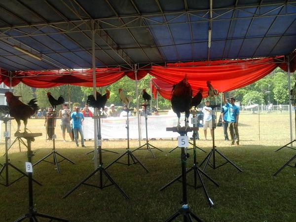KAKNAS IPB 2015 tweet media