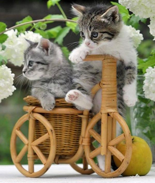 ENJOY YOUR WEEKEND!          ♥QQ