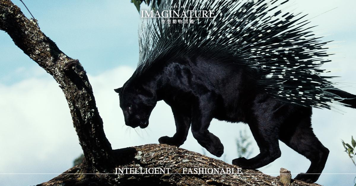 空想動物図鑑 Imaginature クロヒョウアラシ 黒豹荒 Intelligent Fashionable Imaginature Http T Co Wmvfbjbuen 空想動物図鑑 Imaginature クロヒョウアラシ 黒豹荒 Intelligent Fashionable Imaginature Http T Co Wmvfbjbuen
