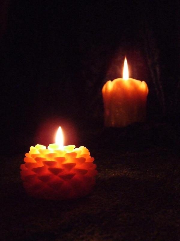 The small Pine cone is also on sale! Buy 5 get 1 free, get 1 free with each large Pine cone purchase!