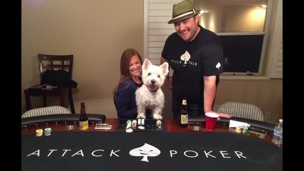 joyfuljaya's tweet image. Petey loves #AttackPoker