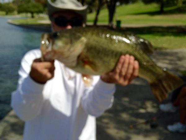 TsFishman's tweet image. 