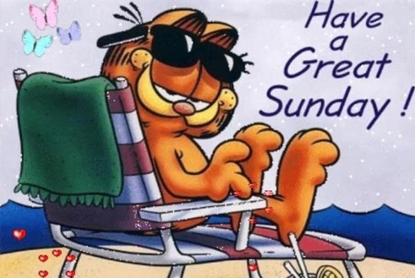 Humate333's tweet image. 