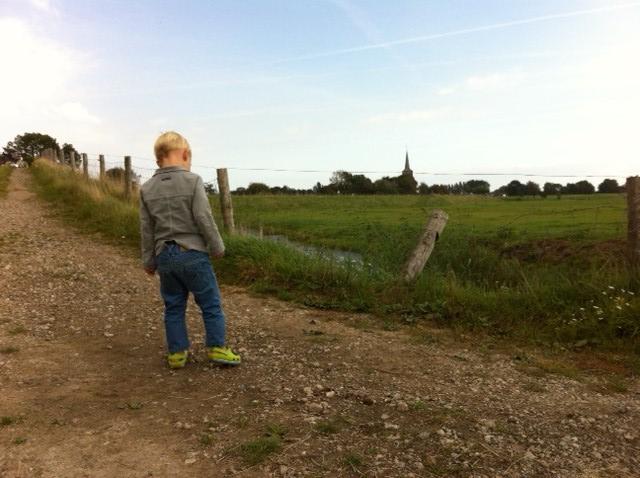 Embedded image permalink