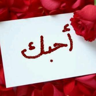 Wnw12w's tweet photo. رتويتت http://t.co/xzWYPCdOKV