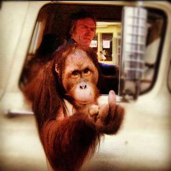 davidbrough1's tweet photo. This is the reaction to work on Sunday..... http://t.co/S306b8deBt