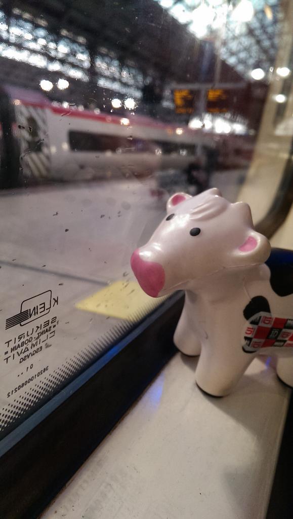NephrologyCow's tweet photo. @Anna_Elizabeth_ she took me to London last week,  I had a ride in a train and saw some cows in the wild. http://t.co/24cJWzSt3c