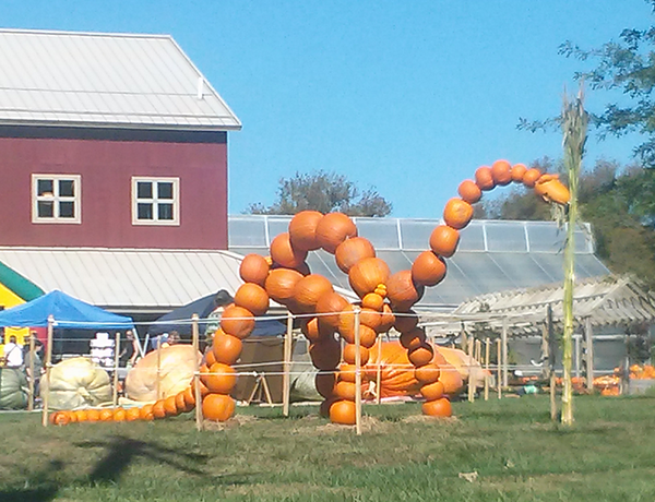 Saw a pumpkin dinosaur yesterday.  It was a good day. Thanks for all your donations so far! gofundme.com/ego7ac
