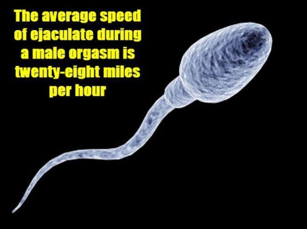 FactsInYourFace's tweet photo. 10 sex facts that you never know. http://t.co/TFKuRLLLMv http://t.co/w0Isp70T6o