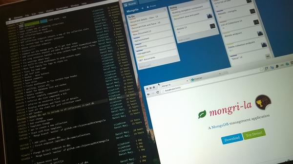 vijaykiran's tweet image. Making steady progress on #clojurecup with @dmarjenburgh