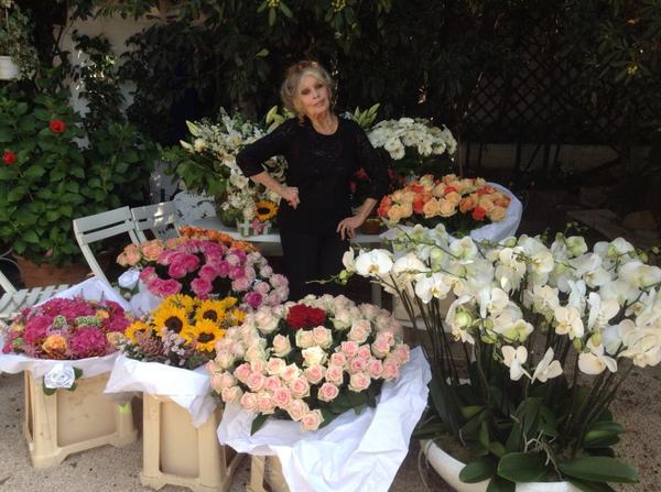 Brigitte Bardot Vous Etes Formidables Vous Etes Fous Une Avalanche De Fleurs Ce Matin Une Avalanche De Bonheur Je Vous Aime Http T Co Lwfyaxtr5p Brigitte Bardot Vous Etes Formidables Vous Etes Fous Une Avalanche De Fleurs Ce Matin Une Avalanche De Bonheur Je Vous Aime Http T Co Lwfyaxtr5p
