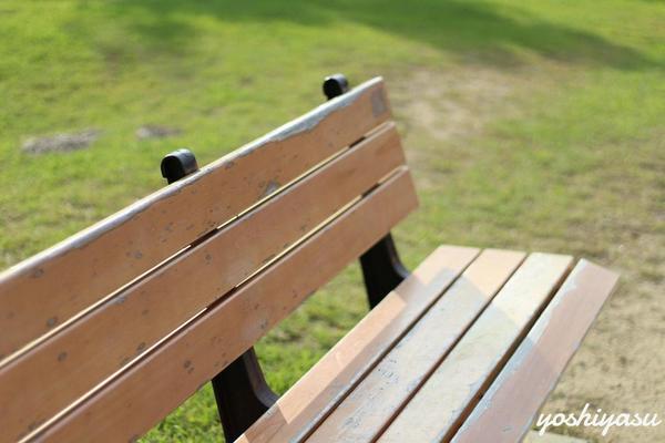 よしやす☞写真 tweet media