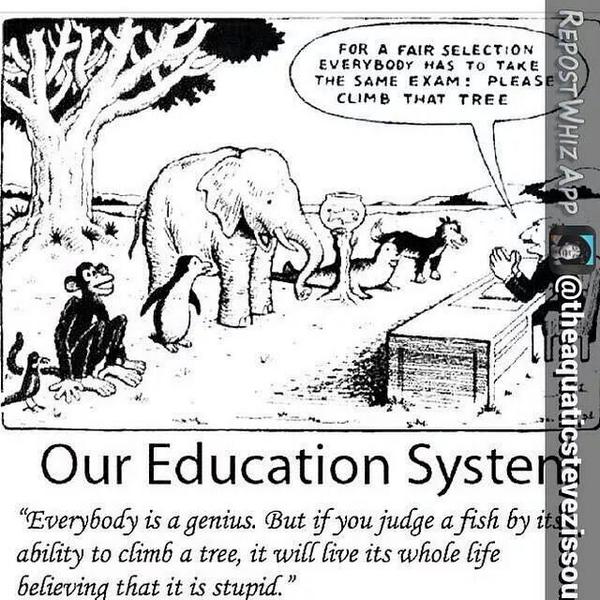 ClaudioLimina's tweet image. Holy words! #einstein #docet