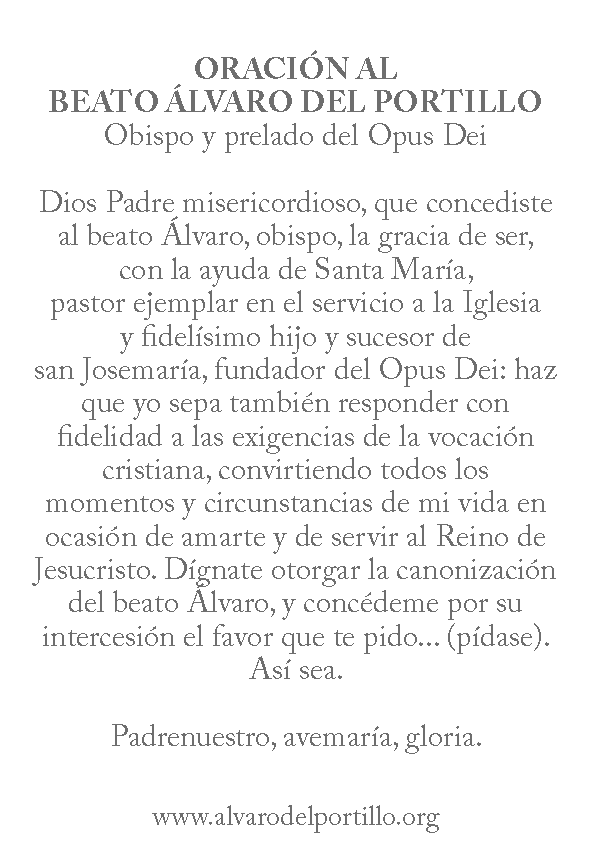alvaro14_org tweet picture