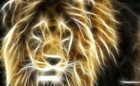 luzarango's tweet image. Cool