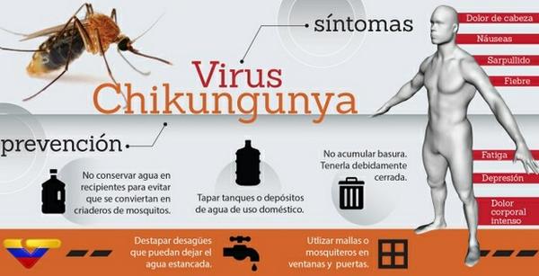 imderuralmerida's tweet photo. #IMDERURAL | Plan Nacional para combatir la Chikungunya http://t.co/sdTcYIzBBW #AlMosquitoNiAgua http://t.co/Vcfqp0oFgF @GobAlexisR