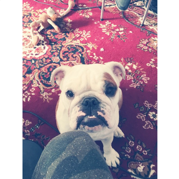 TokioHotelSTT's tweet photo. [Bill's IG] another day another rehearsal #newbackgroundsinger #busybulldog #busylife #tokiohotel #newalbum #newsong http://t.co/tRUQDlulQF