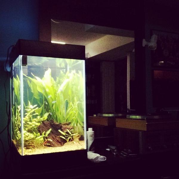 aqueon 15 gallon column