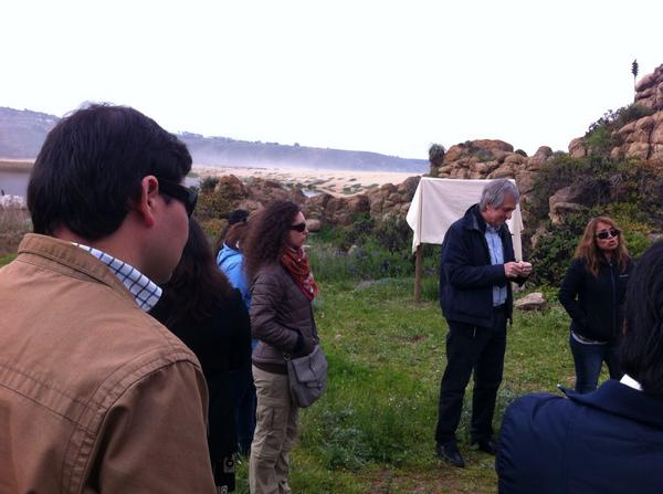 Codexverde tweet media