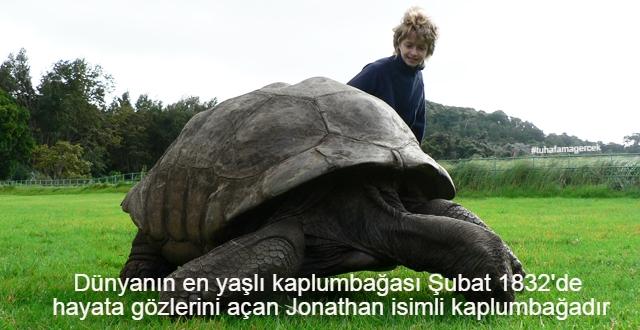 ByoVRDzIUAA37AB.jpg:large