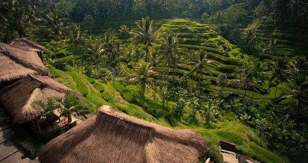 The Subak: Bali’s Rice growing Cultural Landscape: a UNESCO World Heritage goo.gl/tFkEer #WonderfulIndonesia