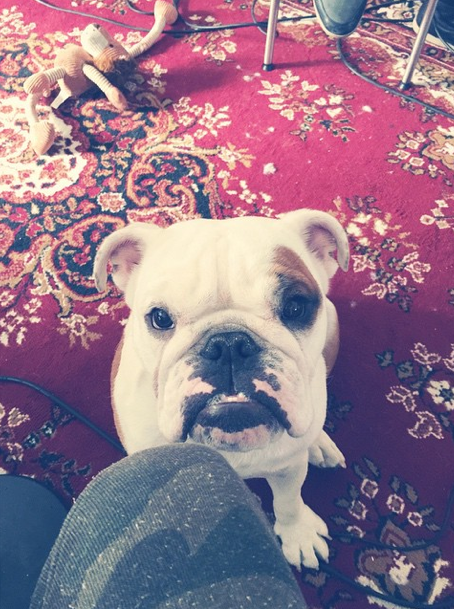 tokiohotel's tweet photo. another day another rehearsal #newbackgroundsinger #busybulldog #busylife #tokiohotel #newalbum #newsong #newsound http://t.co/QwEKAcNFuC