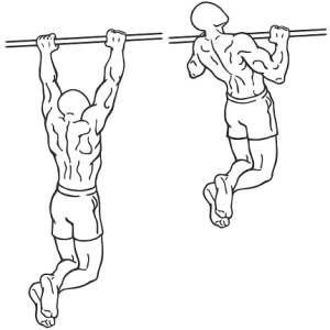 Why You Need To Do Pull Ups With Your Exercise dlvr.it/72kgY9