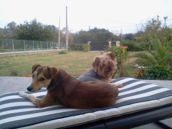 MaitaneAbio's tweet photo. Los 2 reyes en el paraiso http://t.co/bPfXtXgBCA