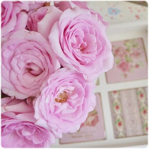 1_sqr's tweet photo. http://t.co/qdcK3dtM1O