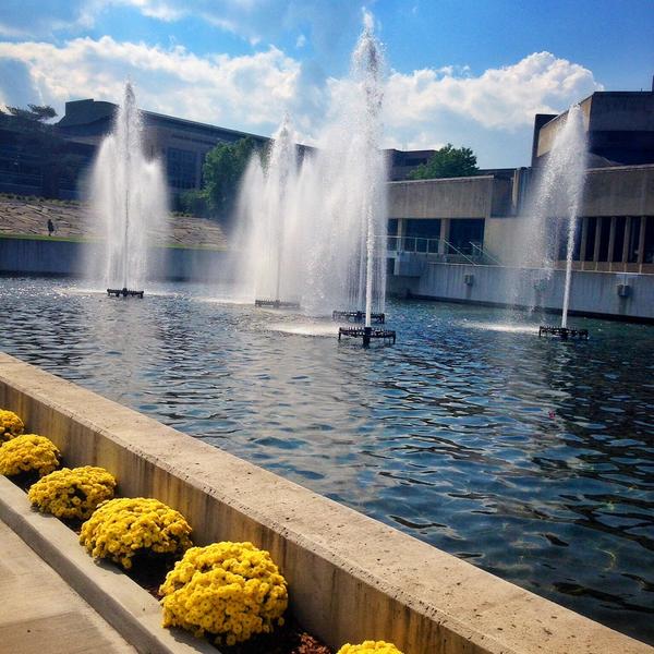 Embedded image permalink