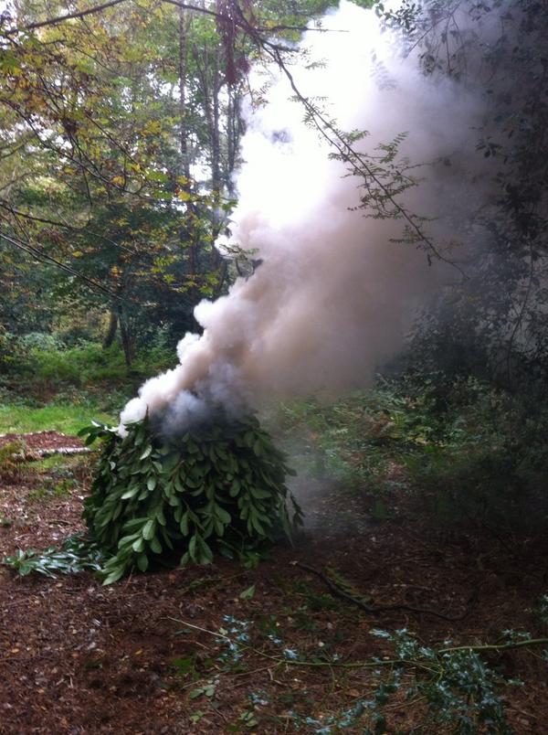 trickyprepper's tweet image. When it comes to signaling your location tripod gtas is much easier to make then a janga and works better.