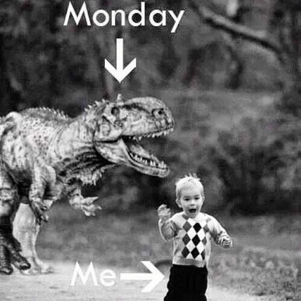 _mlkman's tweet image. #truestory remember to use your yupp app for lunch today 😏👌